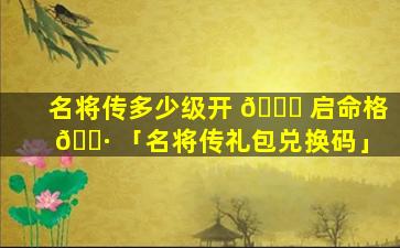 名将传多少级开 🐒 启命格 🕷 「名将传礼包兑换码」